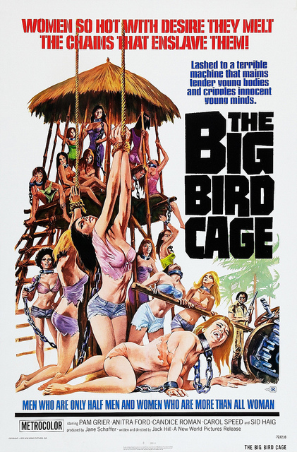 The big bird cage