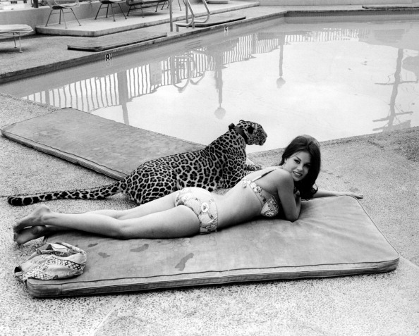Lana Wood lying by a swimming pool beside a leopard