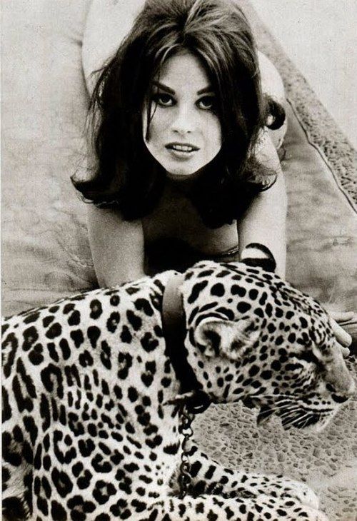 Lana Wood and The Leopard – Voices of East Anglia